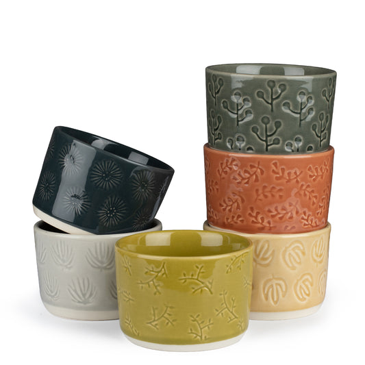 PARMEDU Ceramic Ramekin Set