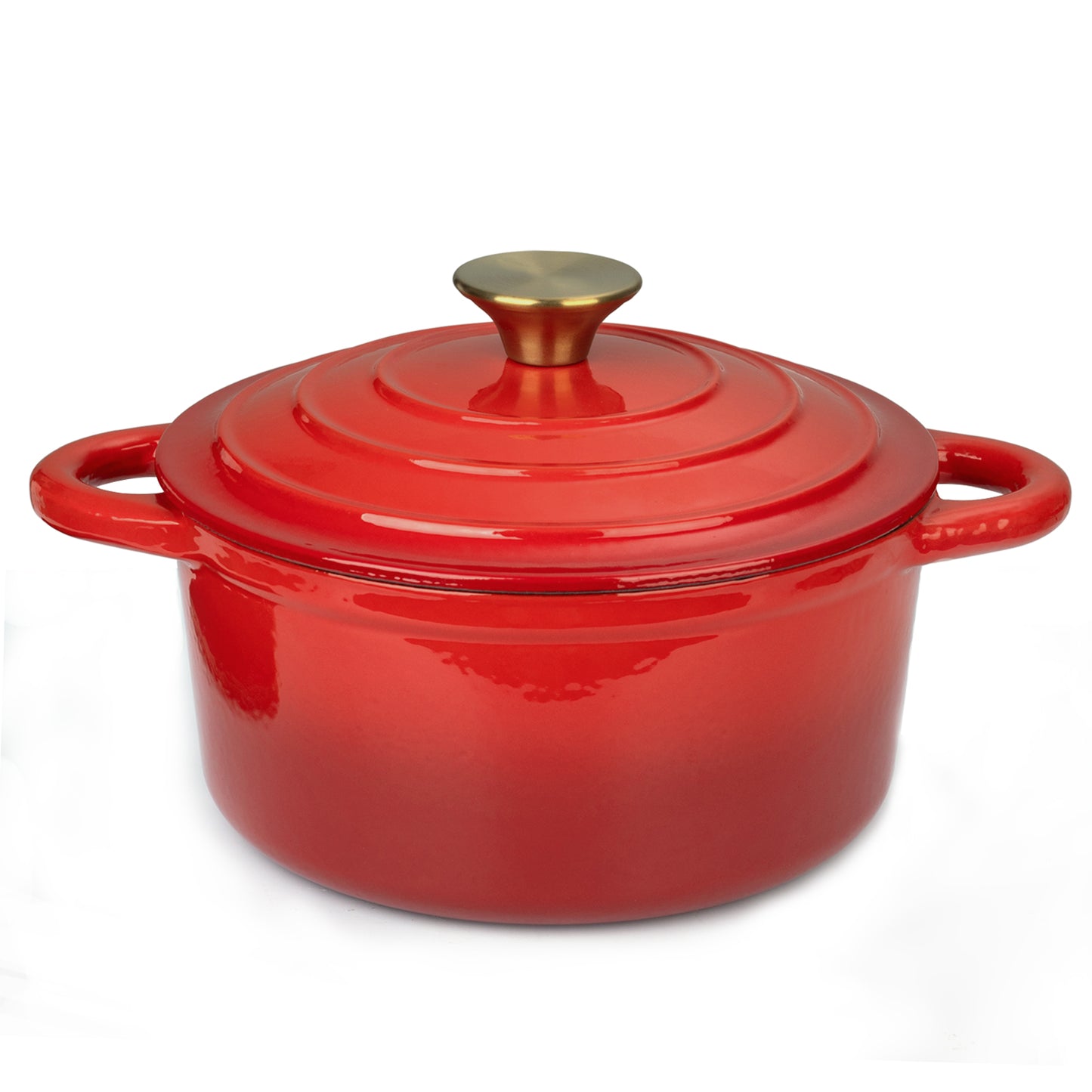 Parmedu 5.3 Quart Enameled Cast Iron Pot